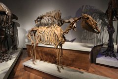 E7D 4963