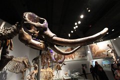 E7D 4965