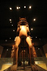 E7D 5088