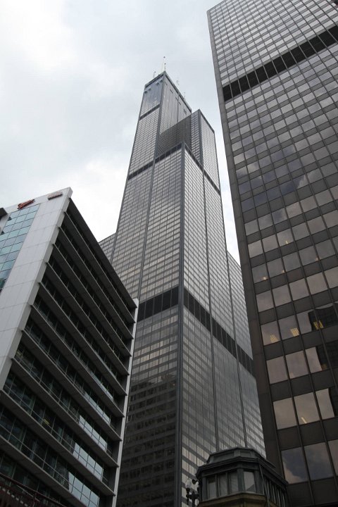 E7D 4846