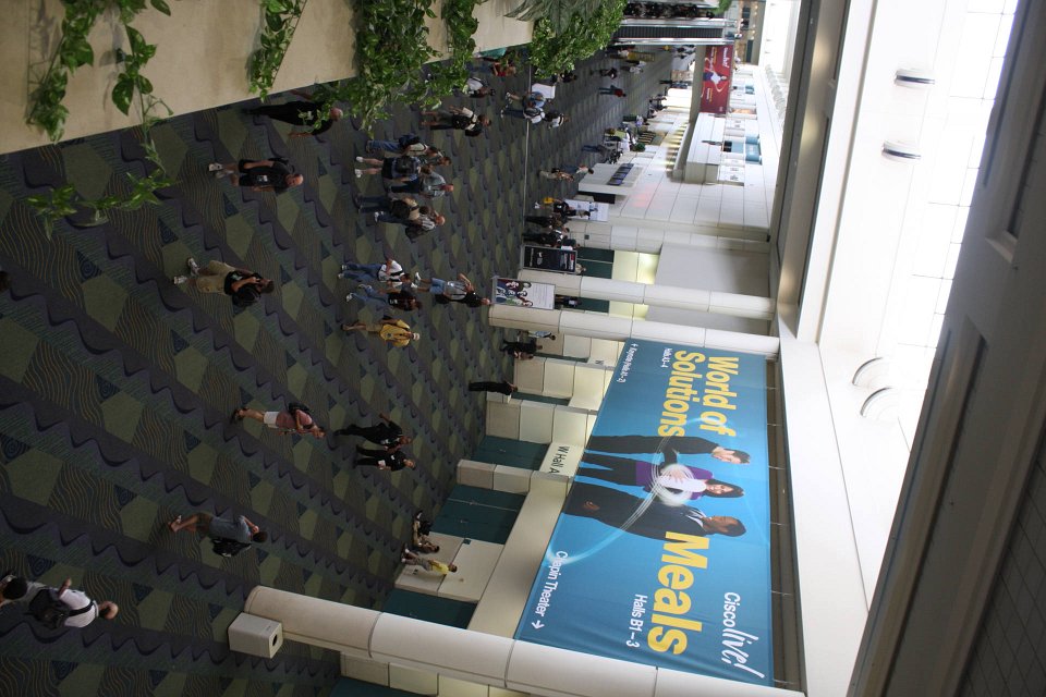 IMG 1075