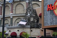 IMG_0796.jpg