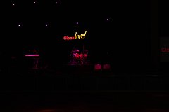 IMG_0798.jpg