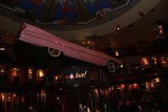 IMG_0800.jpg
