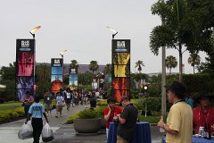 IMG_0803.jpg