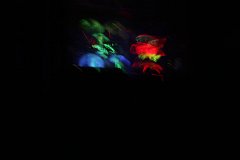 IMG_0815.jpg