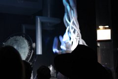 IMG_0821.jpg