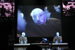 IMG_0846.jpg