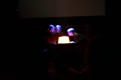 IMG_0856.jpg