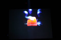 IMG_0857.jpg