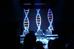 IMG_0860.jpg