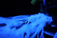 IMG_0873.jpg