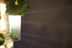 IMG_0911.jpg