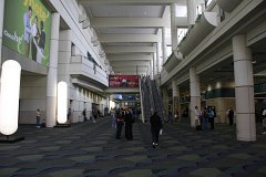 IMG_1067.jpg