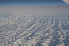 IMG_1085.jpg
