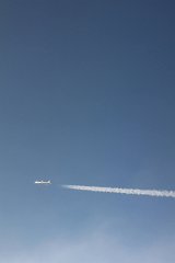 IMG_1101.jpg