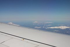 IMG_1151.jpg