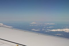 IMG_1152.jpg