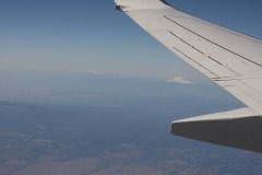 IMG_1153.jpg