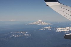 IMG_1161.jpg