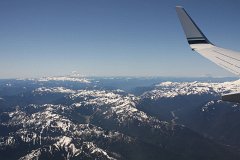 IMG_1175.jpg