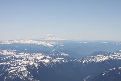 IMG_1177.jpg