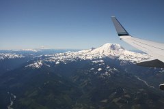 IMG_1181.jpg