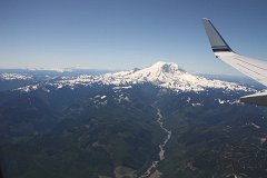 IMG_1184.jpg
