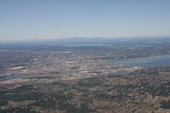 IMG_1217.jpg