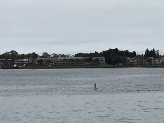 2015-06-11 12.13.30.jpg