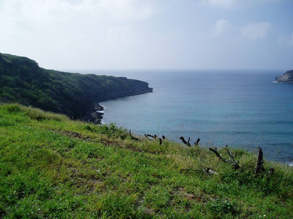 P1010038