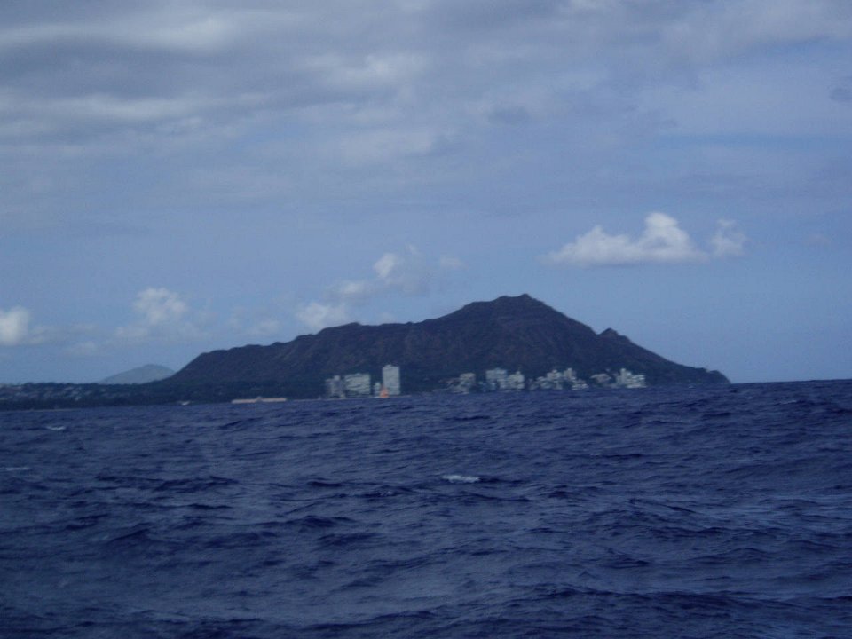 P1010106