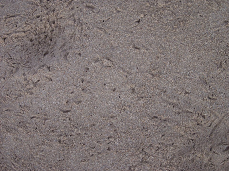 P5020021