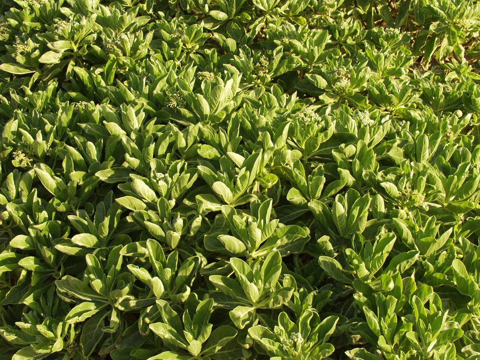 P5020026