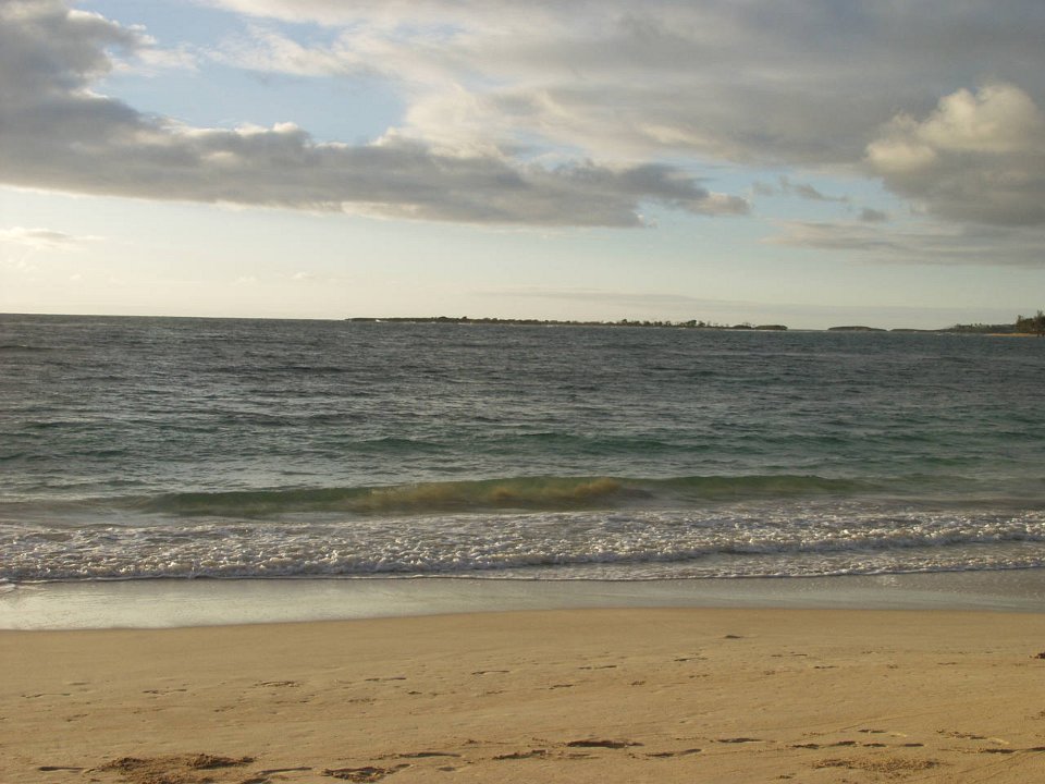 P5020031