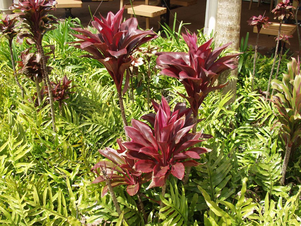 P5030080