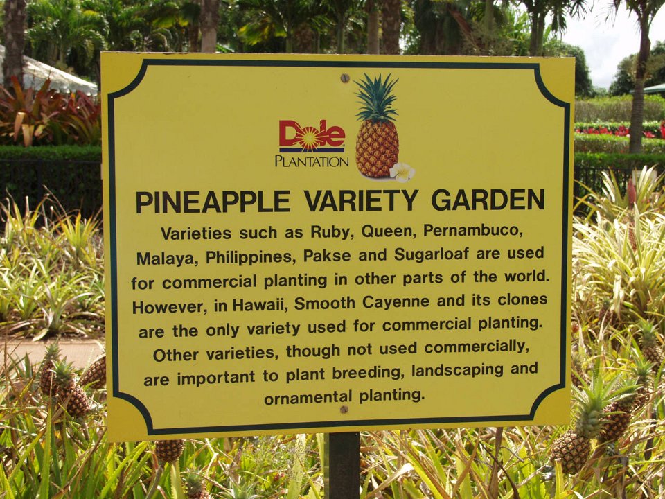 P5030082