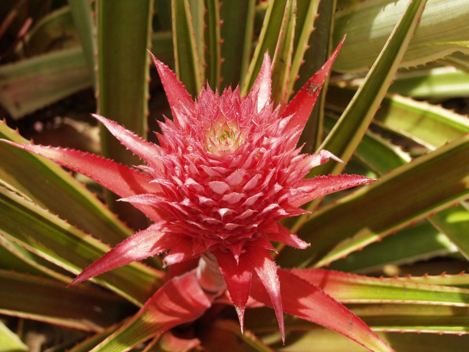 P5030096