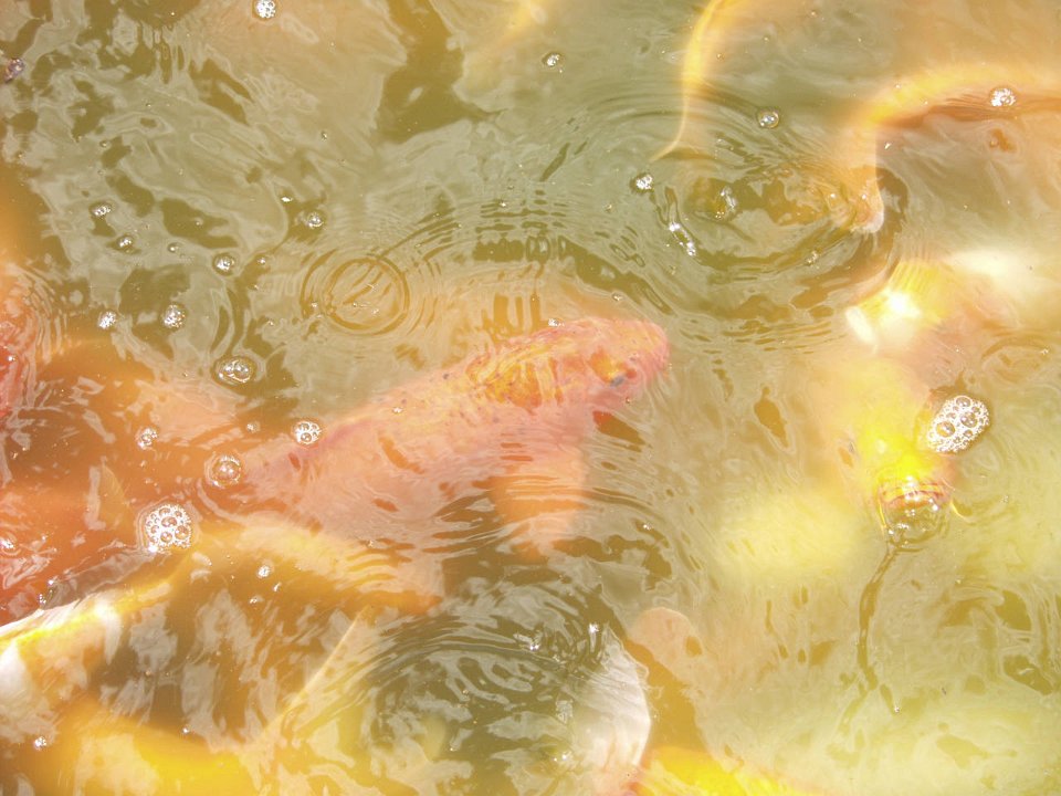 P5030101