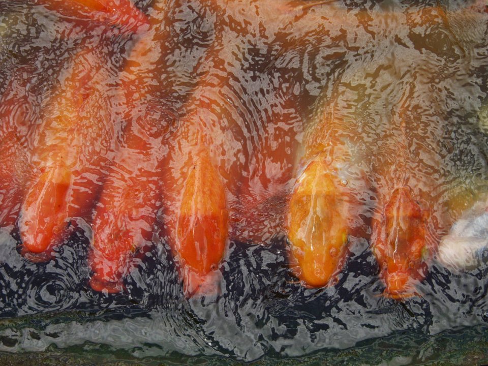 P5030107