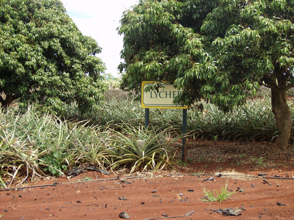 P5030117