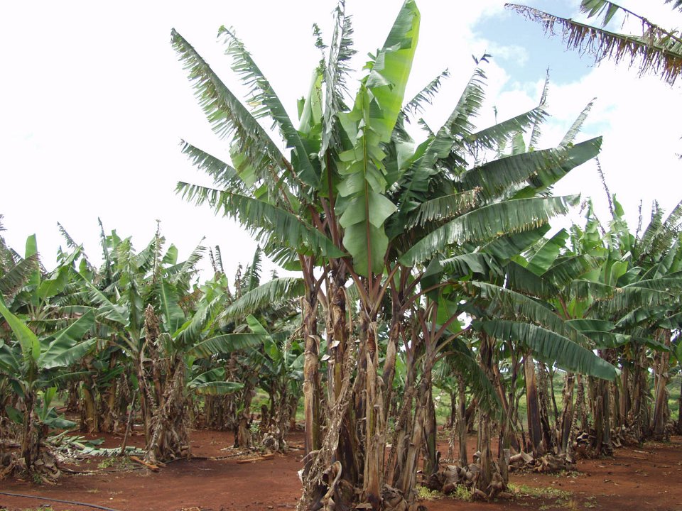 P5030120