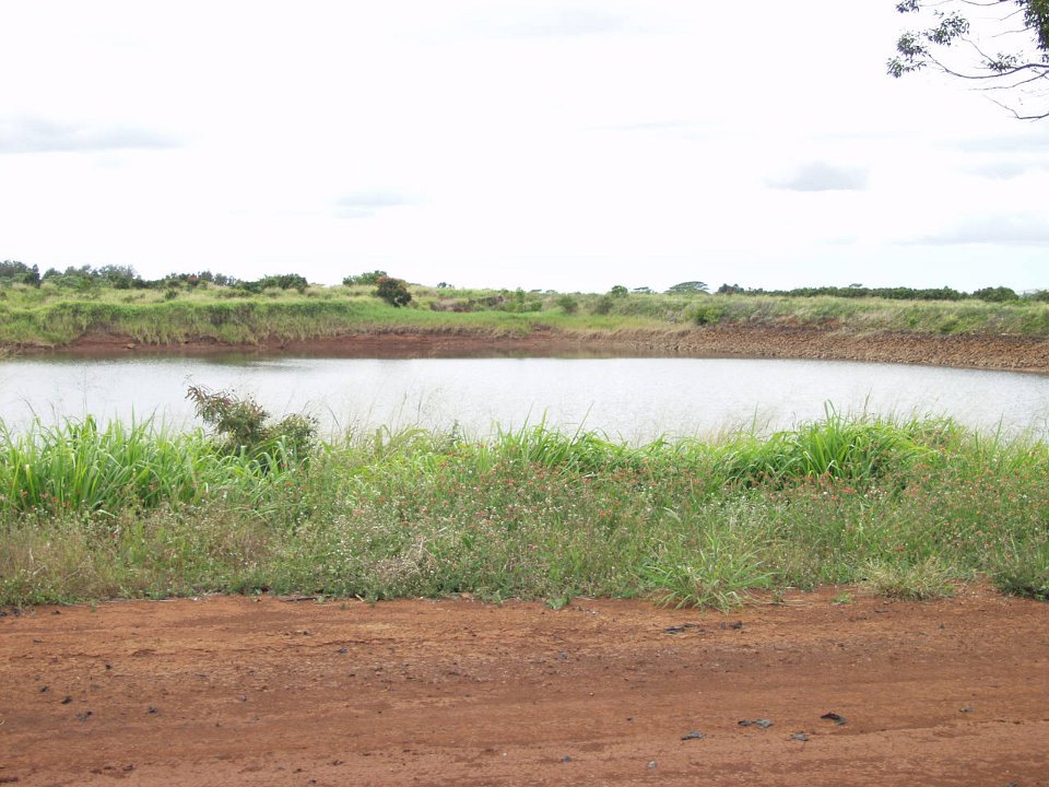 P5030122
