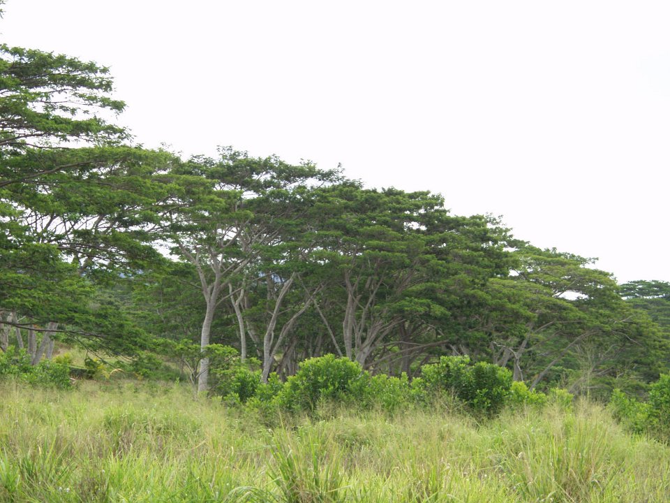 P5030126