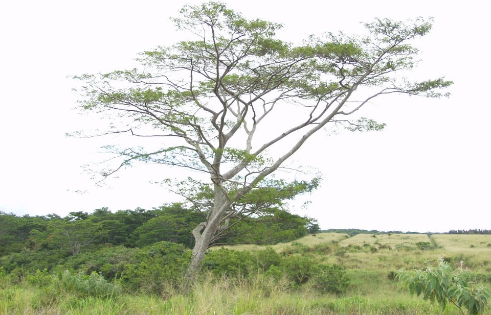 P5030127