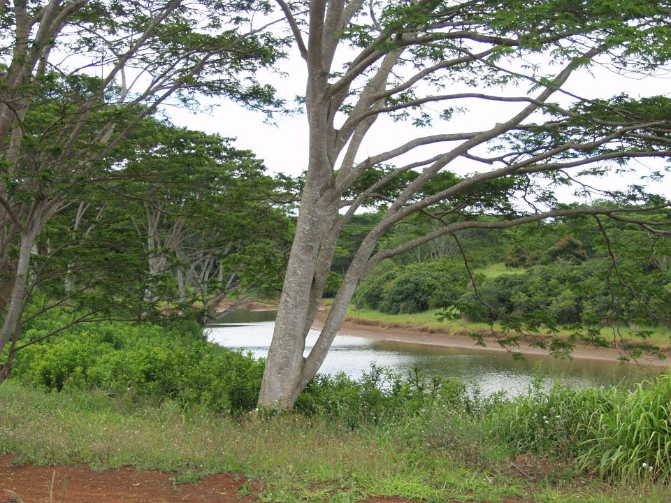 P5030128