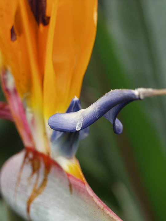 P5030143
