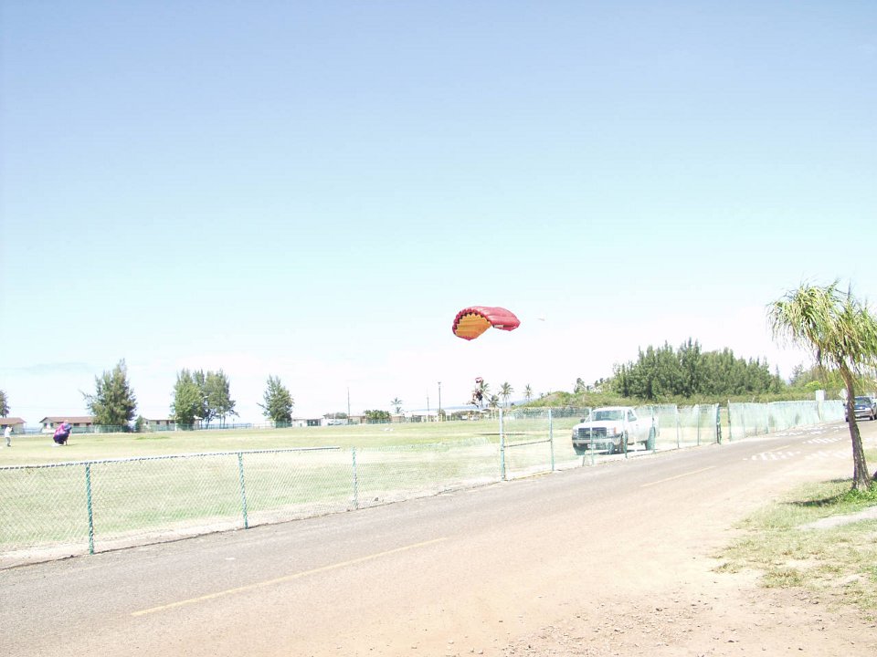 P5030201