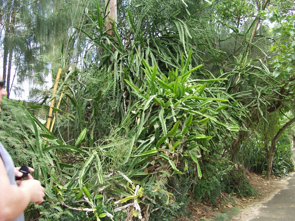P5030226