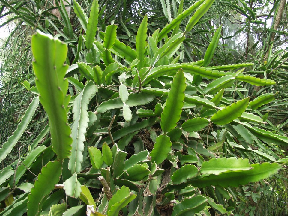 P5030228
